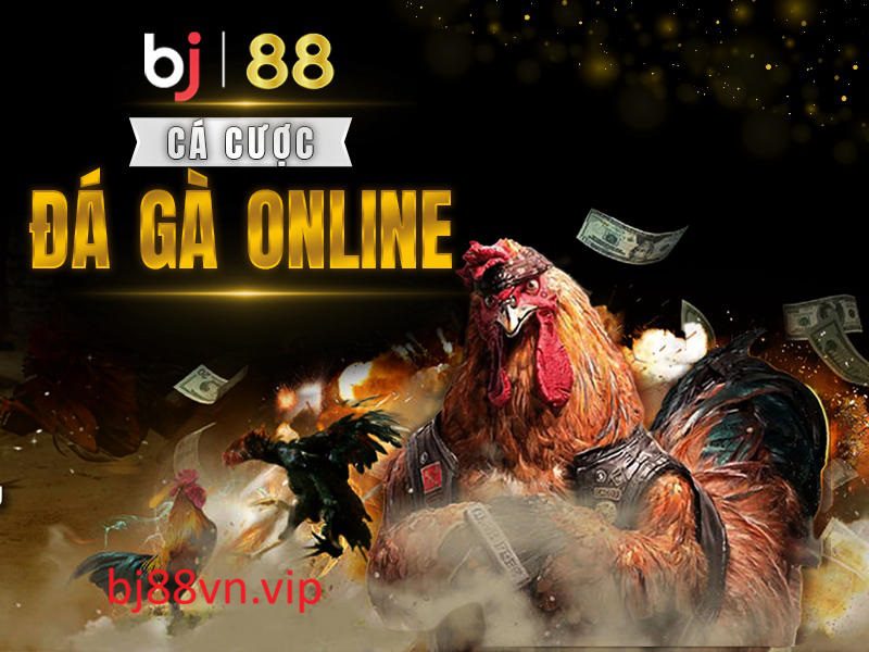BJ88 cược đá gà online hàng đầu Việt Nam